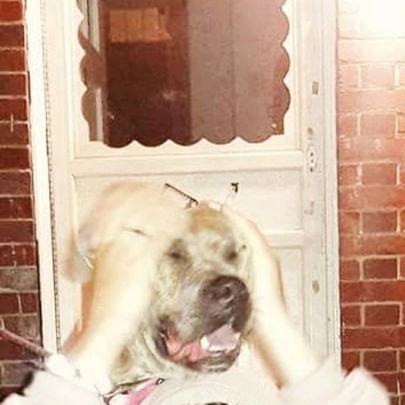 Meet your Posher, Alex - Picture 1 of 1